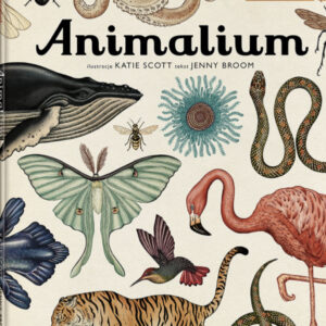 Animalium - wiek 7+