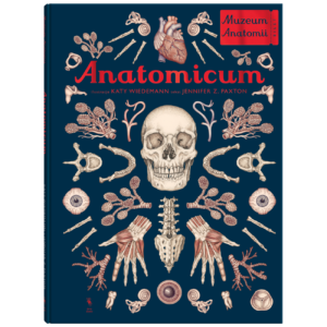 Anatomicum - wiek 9+